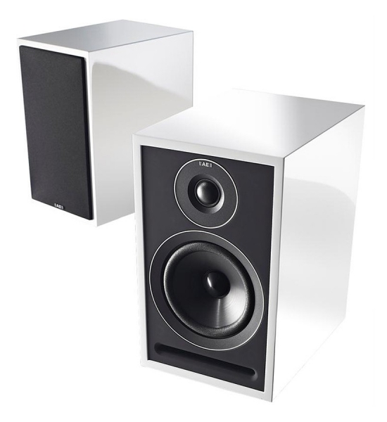 Acoustic Energy 301 Bookshelf Speakers Review And Test