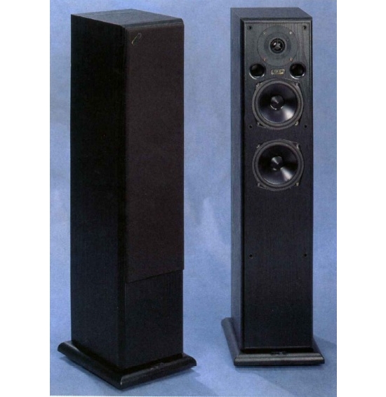 Floor standing speakers Acoustic Energy 